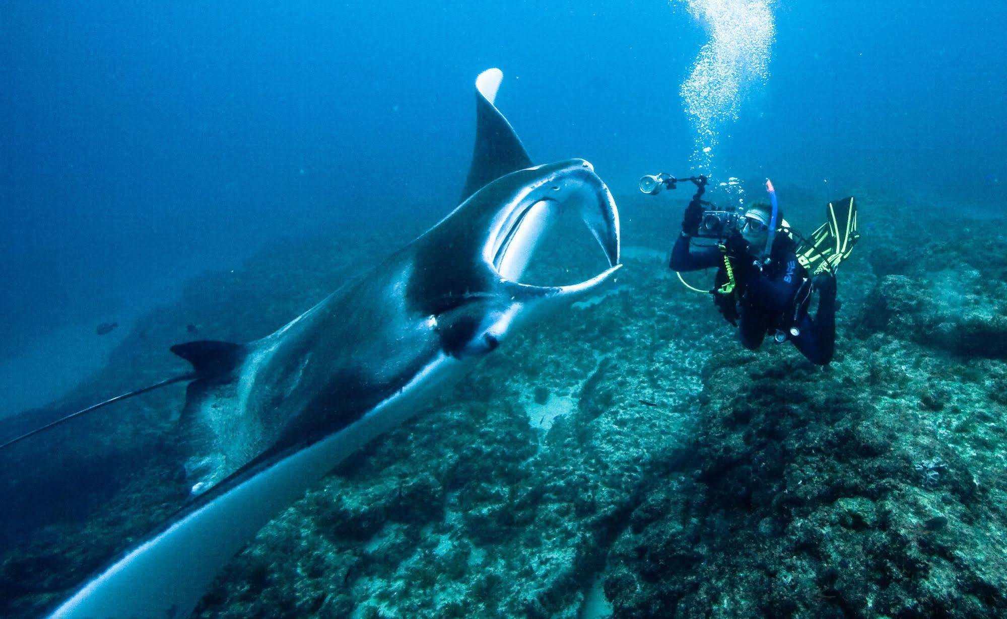 Manta Lodge & Scuba Centre Пойнт-Лукаут Экстерьер фото
